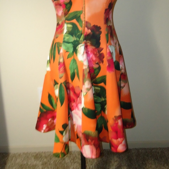 Calvin Klein Women's Flowers Orange Scuba Dress RN# 54163 Size-6 - Picture 5 of 9